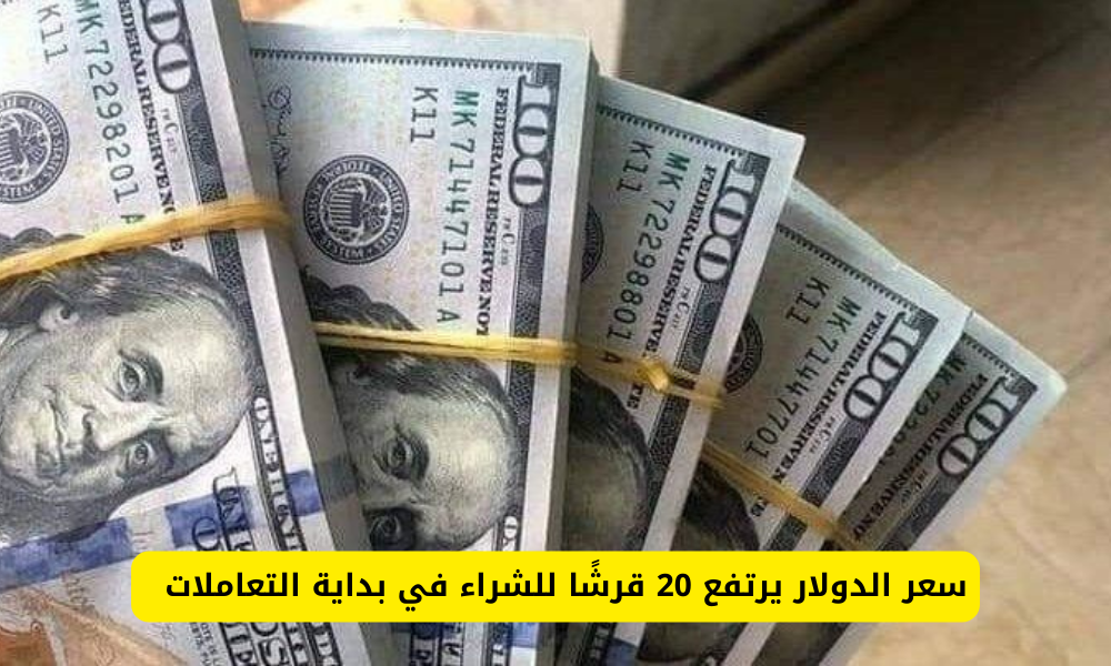 سعر الدولار اليوم مقابل الجنيه المصري